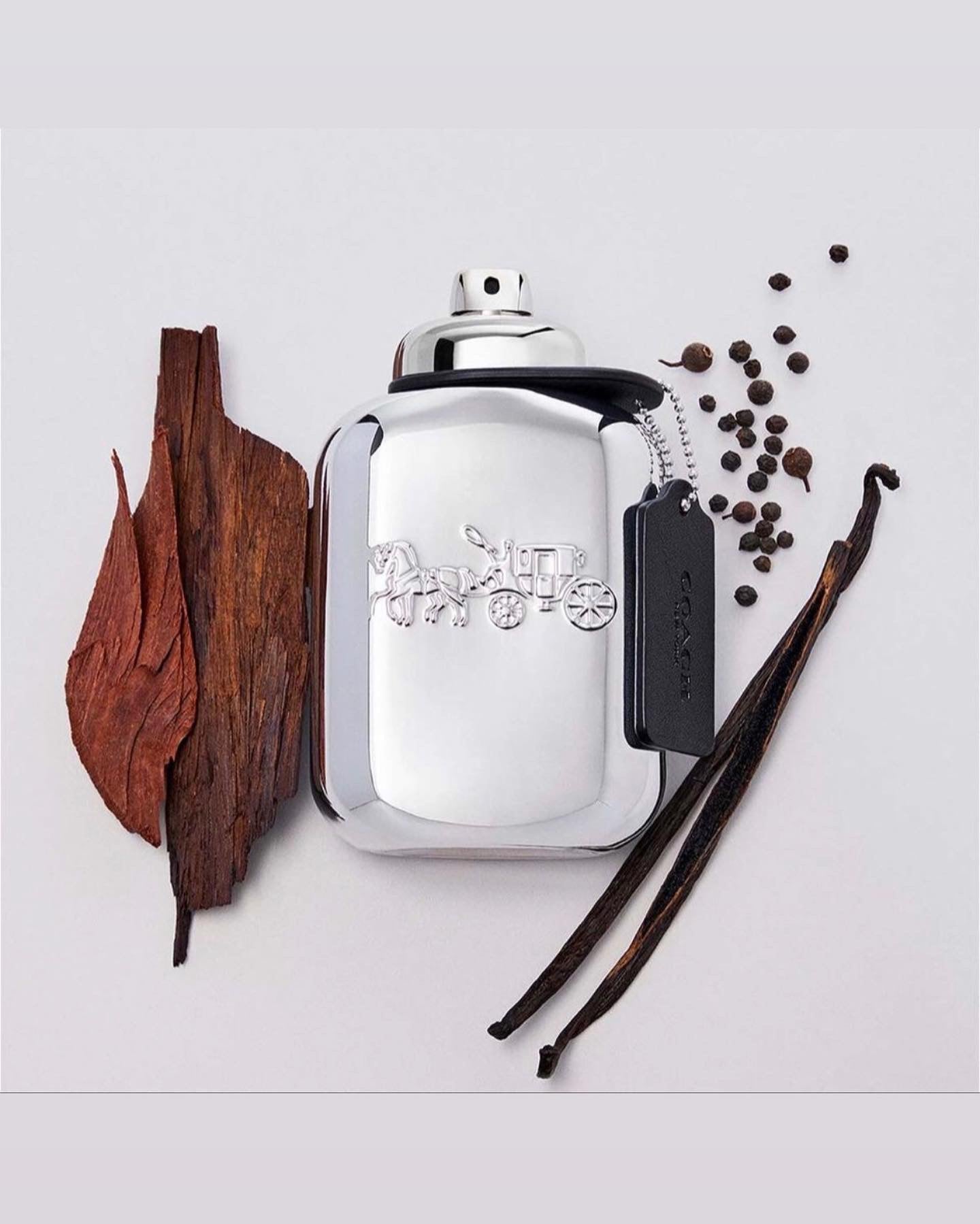 Coach New York Platinum by Coach EDP 3.3oz